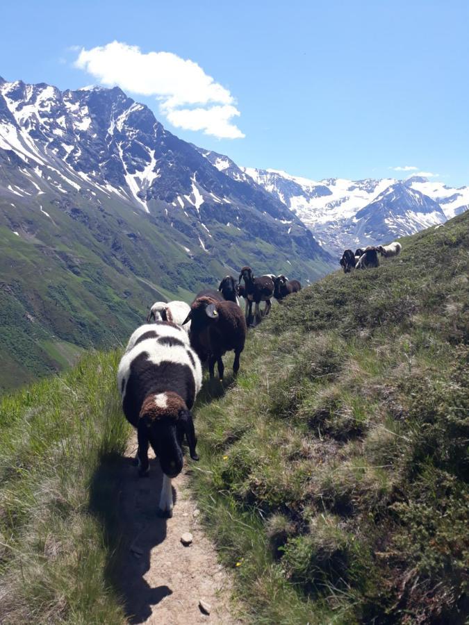 Apartamento Berg-Juwel Sankt Leonhard im Pitztal Exterior foto